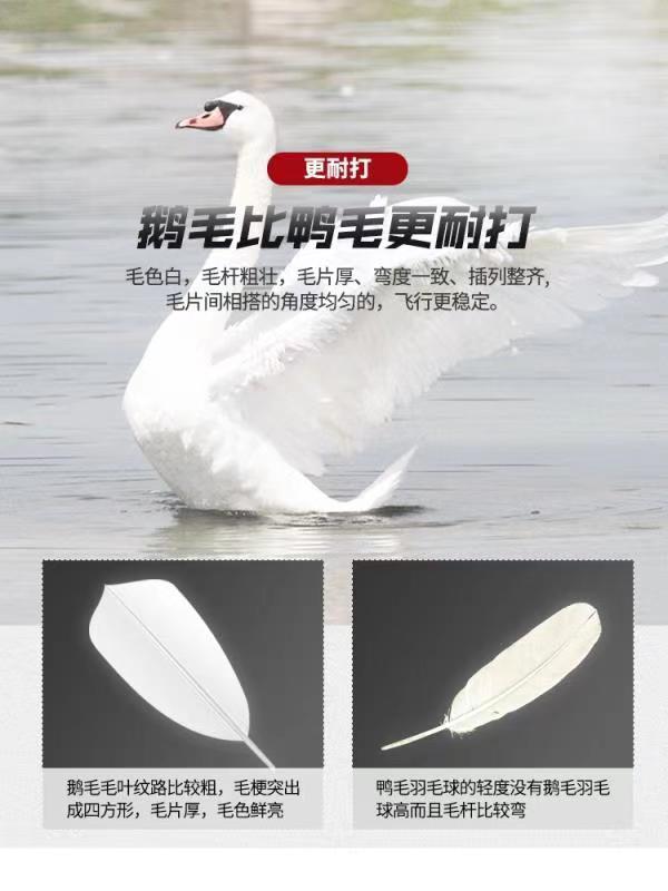 1184fa6a-4e8b-42cf-8172-e082d4328a40.jpe