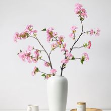 ����ѻ�֦�l��֦֦�ɷ��滨�ҾӔ[���Ƶ��b��ٻ��҃��쾰÷��