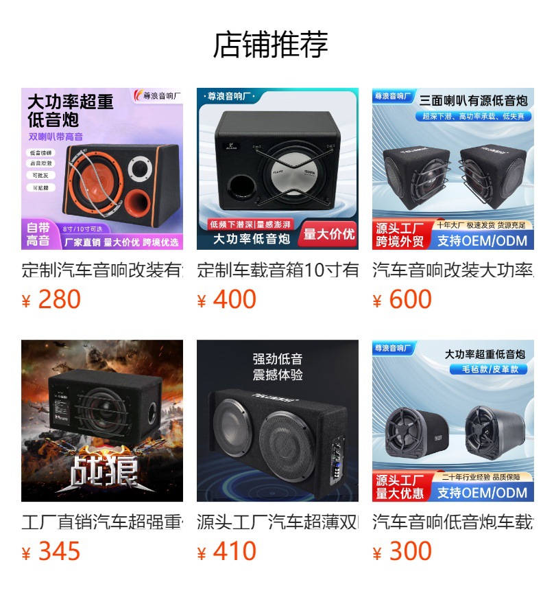 Modified Car Audio Subwoofer 10 Inch Active High Power Car Box
