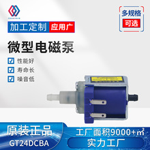 GT24DCBA 挂烫机、奶瓶清洗机、小型洗碗机、蒸汽拖把 110V，220V