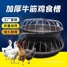 �uʳ���ϲ����iС�i��ʳ��ţ���i�����ϲ�ι�i��ɢ�B�u���Z����