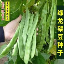 GܶNӸ߮aܿļͶͥԺ＾߲