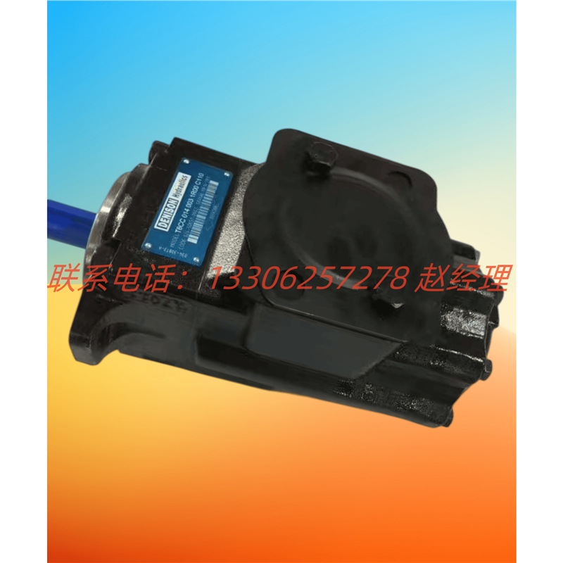 丹尼逊DENISON叶片泵T6DC 031 025 1R00 B1现货供应全系列