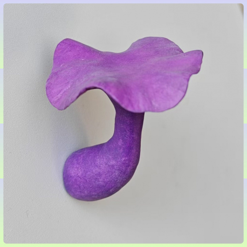 云南野生菌冰箱贴 手工制作 磁铁冰箱贴 蘑菇冰箱贴 冰箱贴磁吸式|undefined