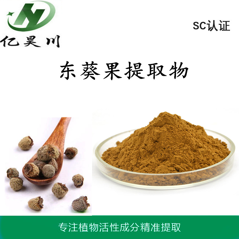 冬葵果提取物 龙葵子提取物厂家10:1 全水溶东葵果粉厂家量大从优