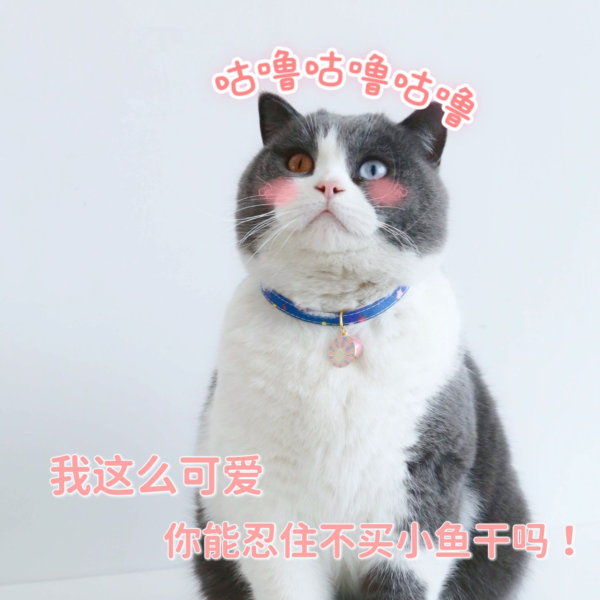 QQ图片20220227092917