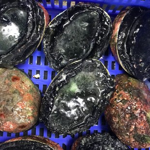 ����ڽ��U�Ĵ�����һ�^�U�����U�~�����m�������U�~������������