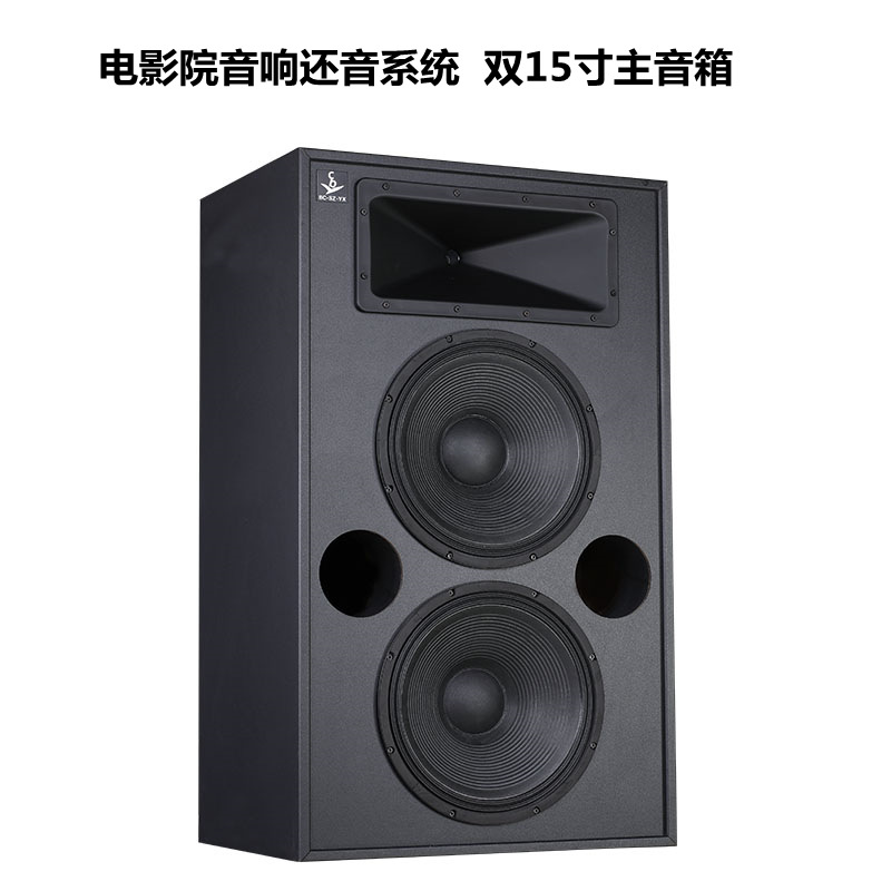 Equipo de refuerzo de sonido de estudio de altavoz principal Cinema Audio System doble Altavoz profesional de frecuencia completa de 15 pulgadas