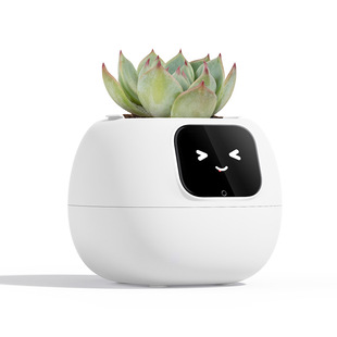 2026����S�ҿ羳�������ܻ��������܄����������ֲ�ﻥ�����