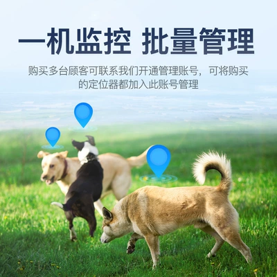 waterproof long standby collar – GPS Locator