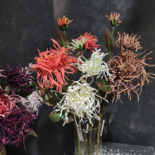 ����зצ�� 3�^�����mᘾ� ��ƿ����b�ˇ�������ܻ�