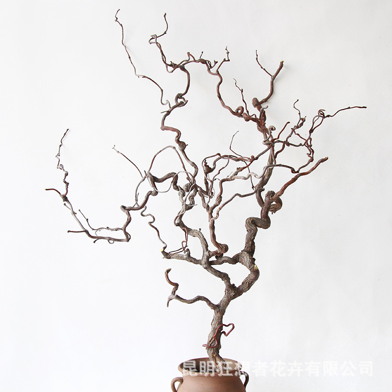 狂想者干花新品龙枣枝天然弯曲树枝中式花艺造景插花装饰干树枝-阿里巴巴