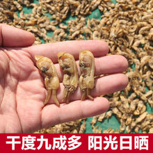 【顺丰包邮】福建东山岛蛏子干蛏子海蛏子竹节蛏海鲜水产干货野生