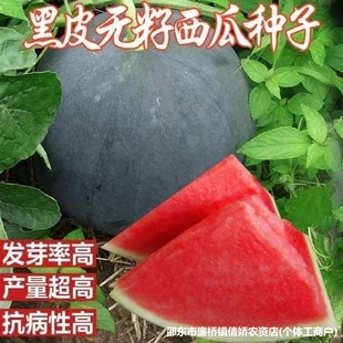 �o�����ϷN�Ӵ����Ƥ���ϷN�ӱ�Ƥ�o����o�Ѻڹ�������