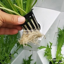 L���w�F��Nֲ�o������ģʽ���������ತ�}�߲������F�����ݮ�N