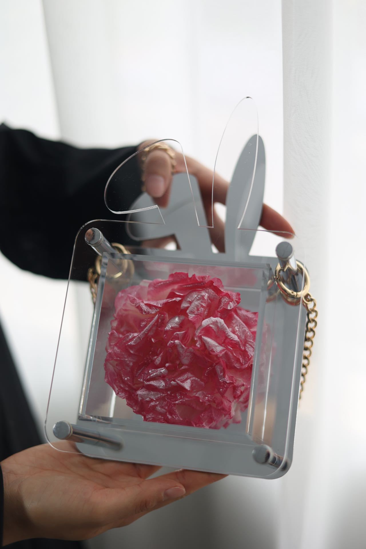 진주 빛 장미 분말 Paeonia lactiflora