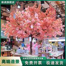 �ѻ�������߶˴��;Gֲ�҃��̈��ٻ����滨�[�O�b��쾰�һ���