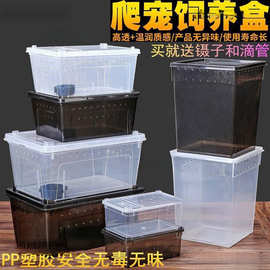 人渣盒爬虫箱螳螂跳蛛养蚕饲养盒爬行动物睫角寄居蟹饲养箱