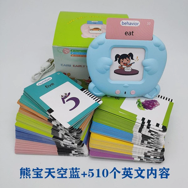 Bear treasure model [255 card 510 content + pure English] Sky blue