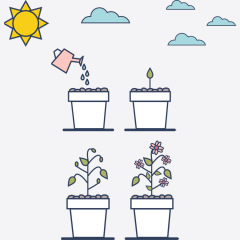 兒童種植盆栽套裝植物觀察根系生長種子發芽花卉觀察套裝學生幼兒