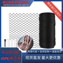 跨境现货 园艺无结防鸟网园林聚乙烯PE塑料防护网加厚锦鲤池塘网
