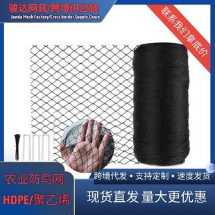 �羳�F؛ �@ˇ�o�Y���B�W�@�־���ϩPE���Ϸ��o�W�Ӻ��\�������W