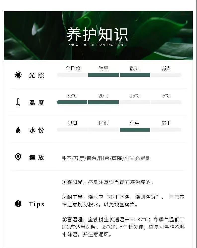 13e58c31-cd84-40cd-b90a-5465da9640f9.jpe