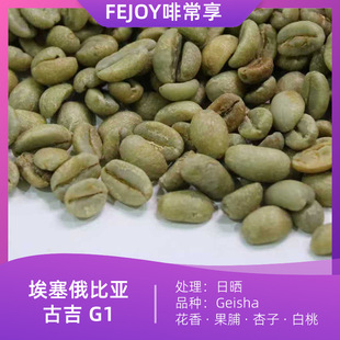 25���������ȁ� �ż����� �������� �Օ�G1 ����|����|����|����