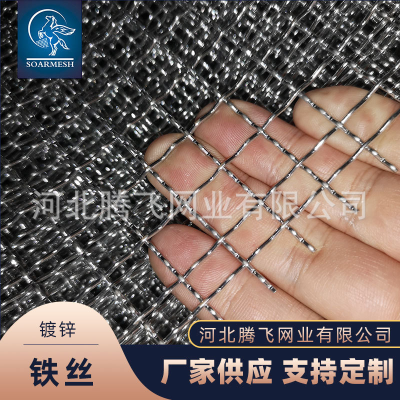 家禽养殖用铁丝网 猪床网养殖网 加工镀锌铁丝网过滤网