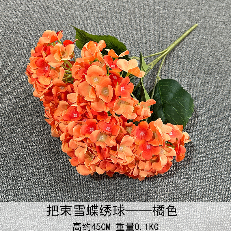 Paquete de Hortensias Mariposa de Nieve, Mandarina