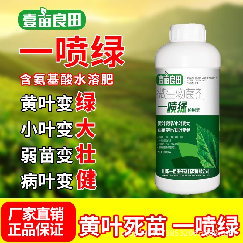 一喷绿黄叶枯死变绿含氨基酸通用蔬菜花卉叶绿素微量元素叶面肥