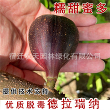 ɰ�ǟo�����玧���ļ����Ԯ���Y�������ش󲨼��t�������ϟo����