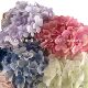 Single macaron hydrangea diameter 20cm large hydrangea wedding flower material Foreign Trade home display 216 petals