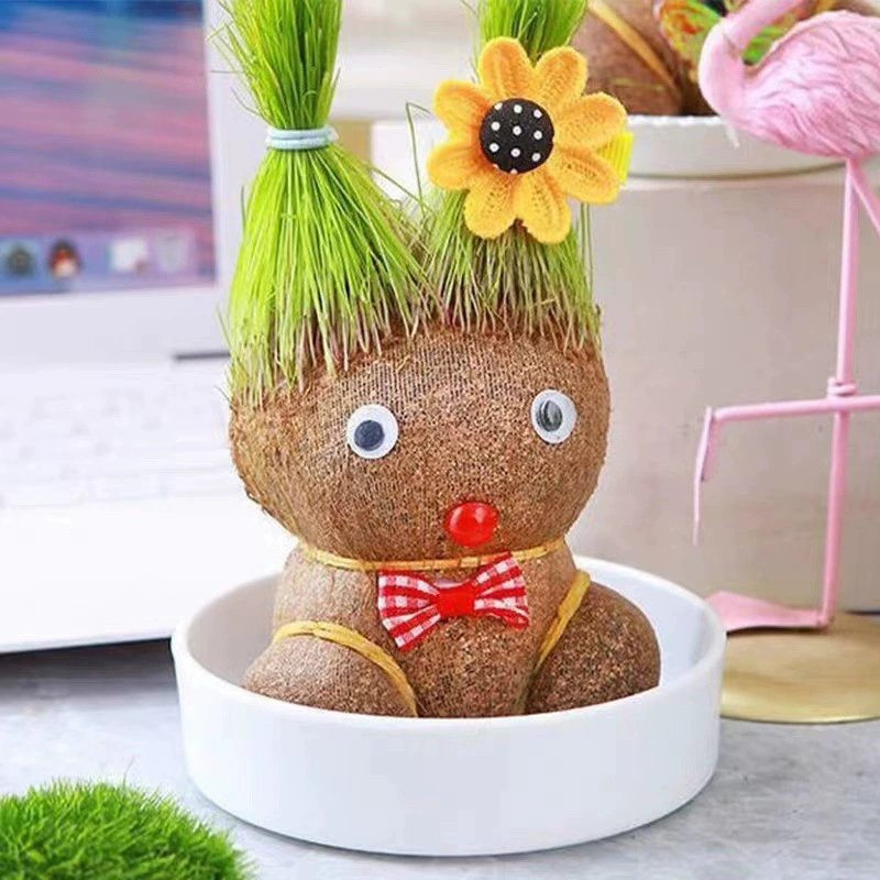 Doll head for kindergarten for growing plants