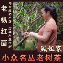 �P��Ҳ衾�Ř�t��ϡ���Ϙ�� �����΅��� �����P�ˆΘ����~