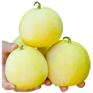 ɽ�|����20С�۹���ϑ�����ˮ����ϰ��]���rˮ�����һ�����l