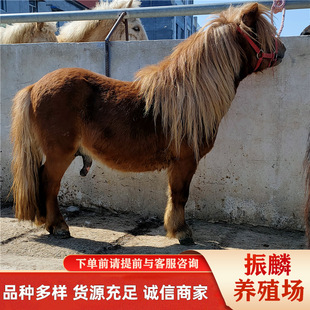 ���R���w�Bֳ�������䰫�R ����С���R���w ���a�T���R���w�����H