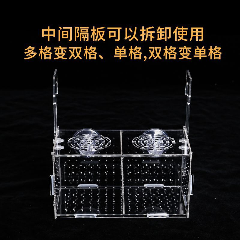 鱼缸隔离盒透明亚克力孵化孔雀鱼繁殖迷你鹦鹉小鱼苗箱子|undefined