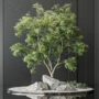仿生落地大堂植物假树