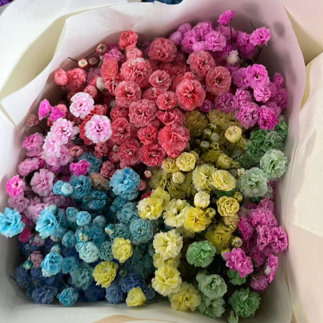 微信图片_20230222233646