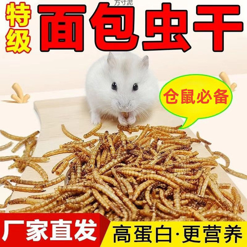 Bread Insect Dried Yellow Mealworm Dried Hamster Food Turtle Food Fish Food Magpie Bird Food Rutin Chicken Feed Pet Snacks Factory