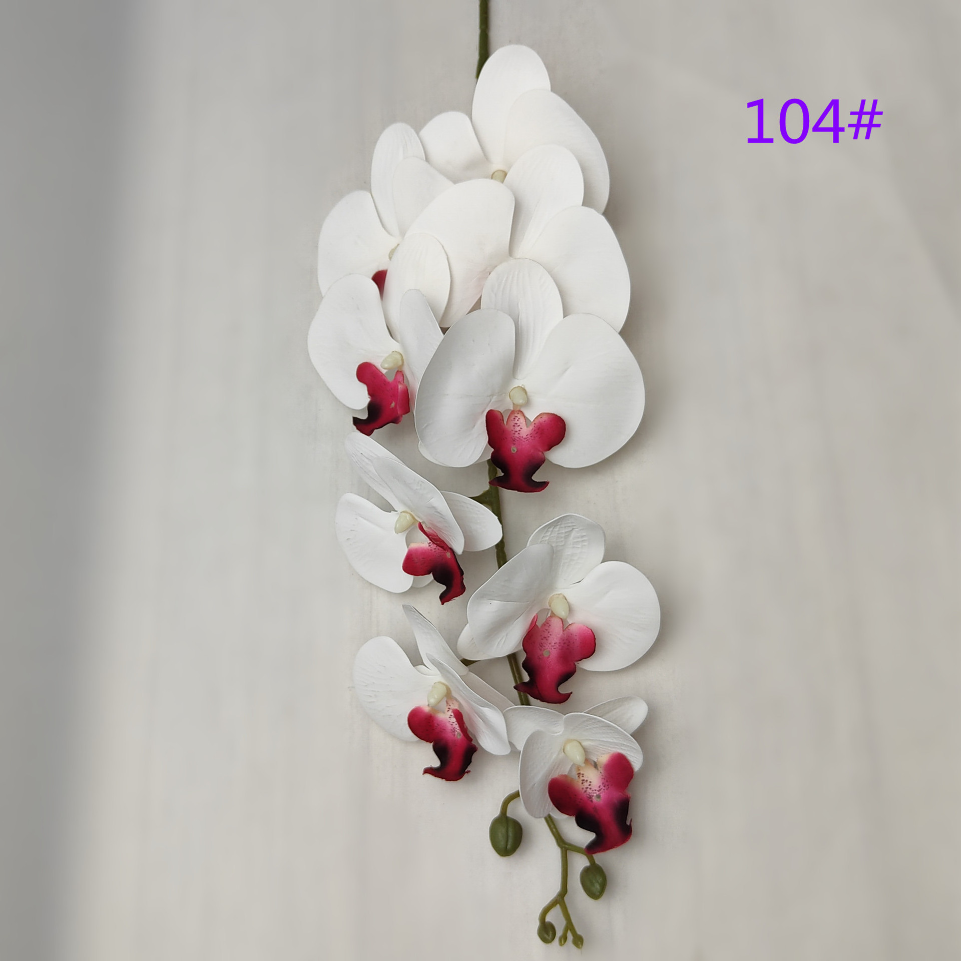 IMG20230509162203_副本