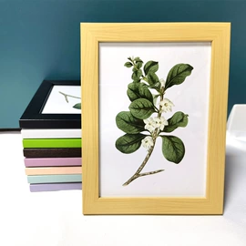 相框、画框;油画棒;其他装饰框架