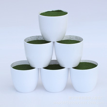 ���Ժ��s�Wʽ�L����С�������G�}���մɾGֲ�����L���A�ΰ׻���