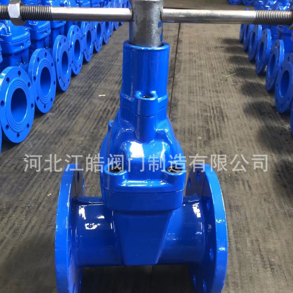 厂家供应法兰锁闭闸阀dn50锁闭阀球墨铸铁量大优惠软密封闸阀