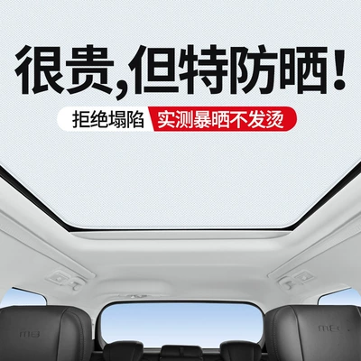 Suitable for Trumpchi 22: Car curtains