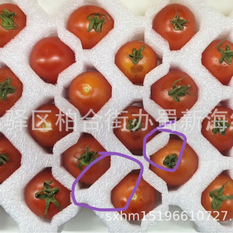 厂家供应水果桃子李子内衬缓冲包装泡沫/水果礼盒内拖泡沫