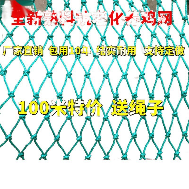 拦鸡网养鸡围网家禽养殖网山鸡网尼龙网菜园围栏网塑料网户外天网