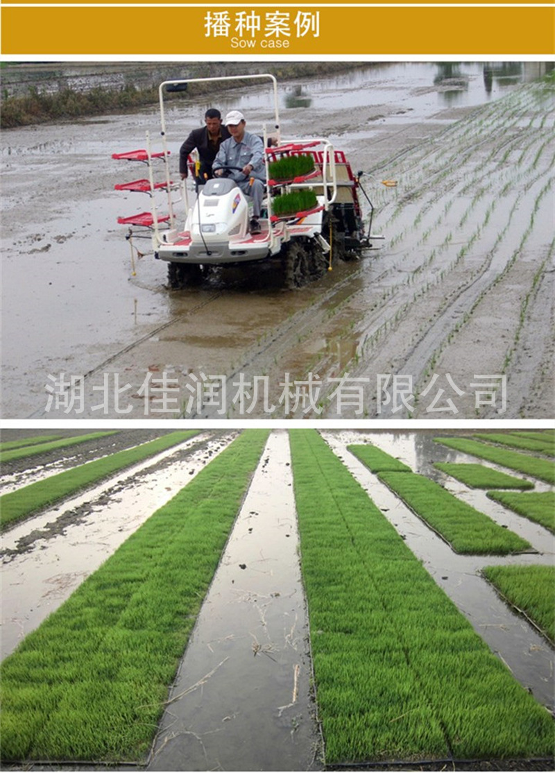 PET育苗盘机插硬盘手抛盘7寸机插育秧育苗盘