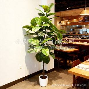 �S��ֱ�N����Gֲ��Gֲ�쾰�����ǧ��ľ ���m�� ��Ƥ�����l